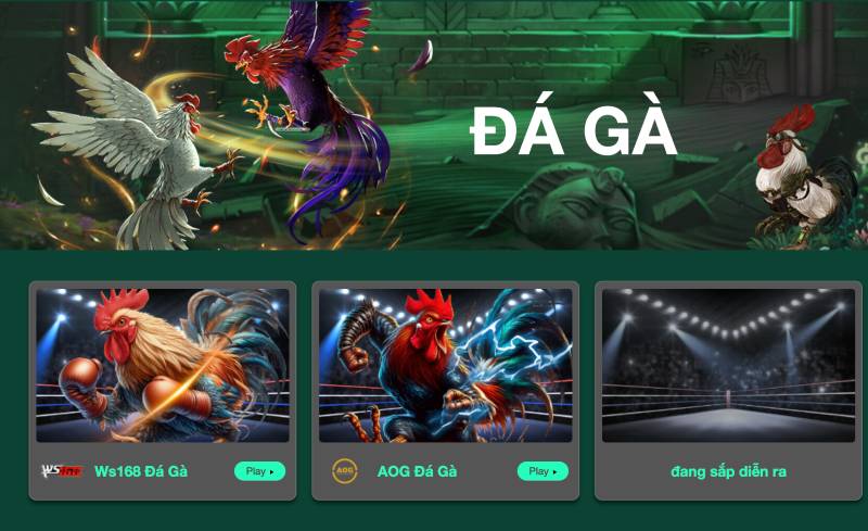 Đá gà online – Truyền thống kết hợp công nghệ